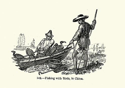 Vintage illustration of Fishermen fishing with trained birds in China, History Fishing Industry, 1850s 19th Century