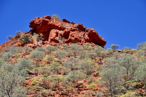 istock Kings Canyon, Northern Territory, Australia 1696769196