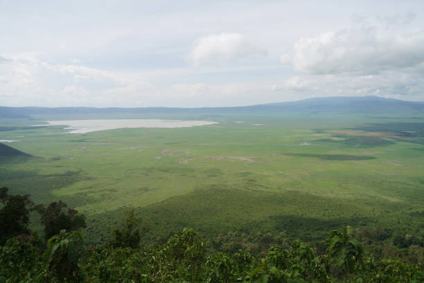 istock Ngorogoro National Park - Tanzania 1696780113