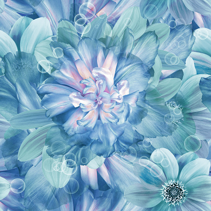 Close up of a cluster of blue hydrangea flowers in full bloom in a Cape Cod garden.