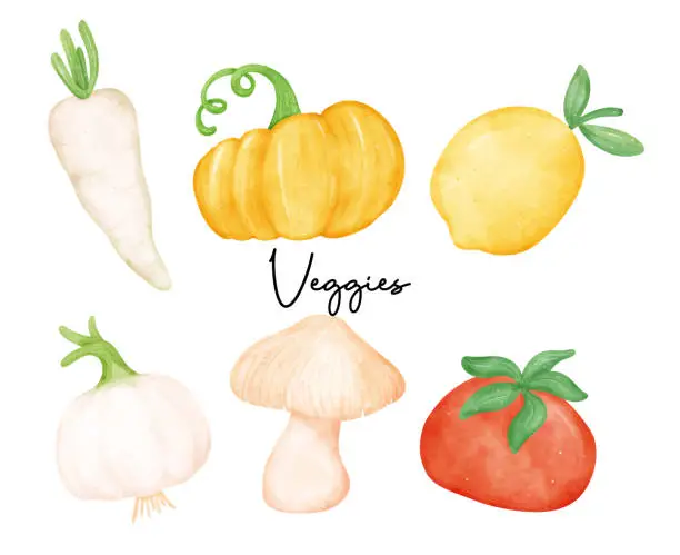 Vector illustration of Fresh and Colorful Vegetable Illustrations in Watercolor Style