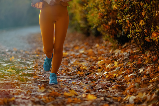 Hello autumn. Closeup on woman in fitness clothes in the park running.