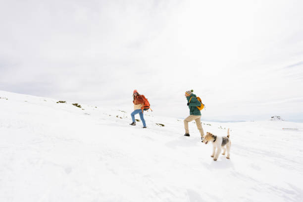 istock Smiling couple climbing the snowy mountain 1696822777
