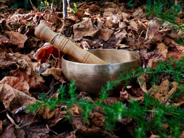 istock Singing bowl on the ground in nature 1696829525