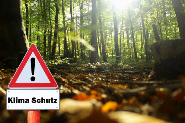istock A sign with a natural background and a label with text Climate Protection means climate protection 1696830633