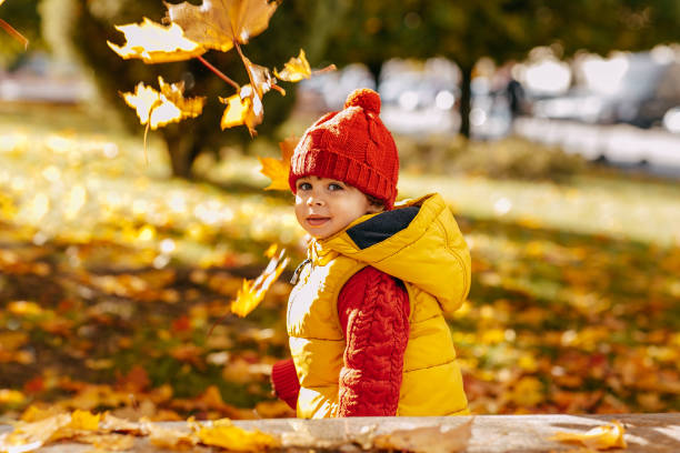 istock A boy on a background of falling yellow autumn leaves. 1696843603