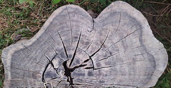 old wooden heart - closeup photo