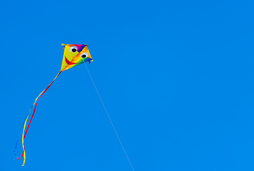 Kids wind kites on the blue sky in the summer