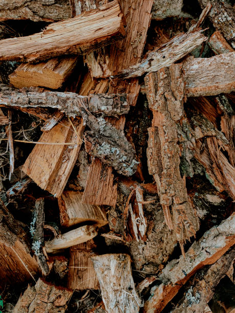 istock Abstract detailed background from various wooden elements after cutting wood for winter 1696885906