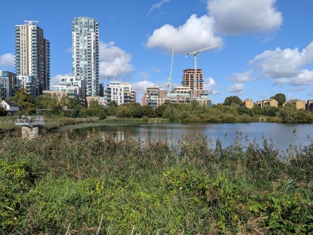istock Woodberry Wetlands, London 1696898646