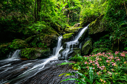 Waterfalls in rainforest; beautiful natural wonder combining mountains, and waterfalls slot; river background with small waterfalls in tropical forest.