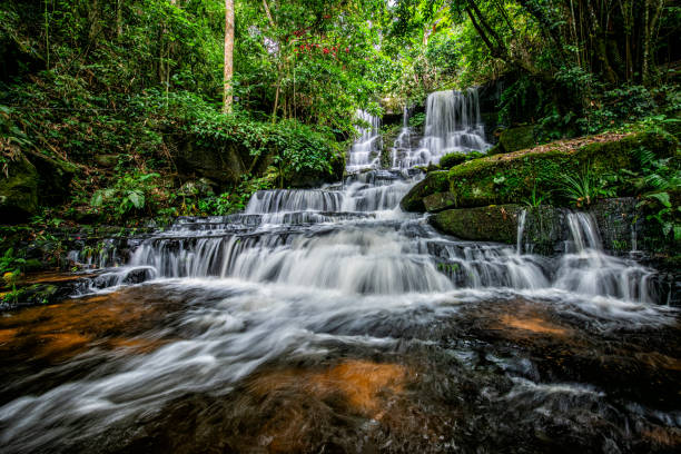 istock Waterfalls in rainfores, beautiful natural wonder combining mountains. 1696899212