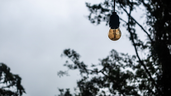 beautiful light bulb against the background of trees and cloudy sky