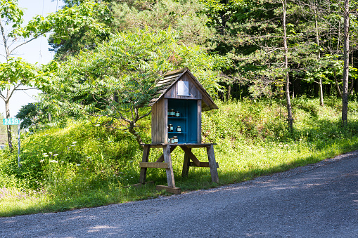 Uxbridge, Canada - July 22, 2023: Beekeeping in Ontario, Canada, is popular and rewarding. The province has a favorable climate and diverse agricultural landscape that supports healthy bee populations.