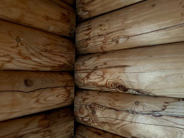 istock Leak Water damage in Log Cabin 1696904783