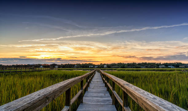 wooden dock on the inlet at Pawleys Island in South Carolina in warm golden light at sunset long wooden dock on the inlet at Pawleys Island in South Carolina in warm golden light at sunset tidal inlet stock pictures, royalty-free photos & images