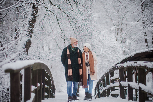 Elegant senior couple walking in the snowy park, during cold winter snowy day. Elderly couple spending winter vacation in the mountains. Wintry landscape.