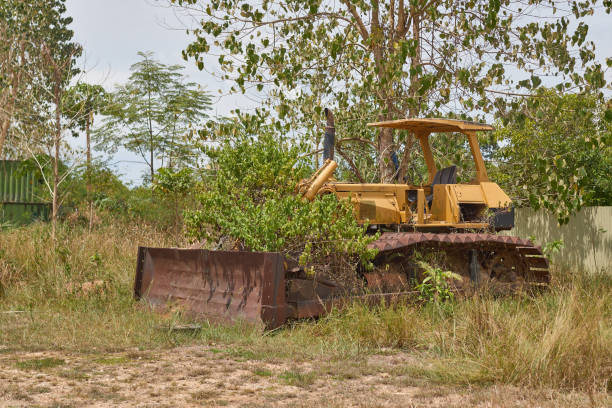 Excavator  parked between cypress trees in a field in Tuscany, Italy