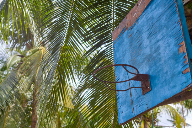basketball ring, old, in the palm forest