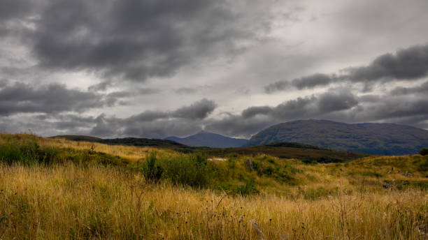 i bellissimi munro della scozia - munros foto e immagini stock