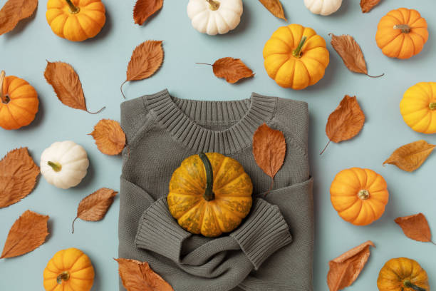 istock Autumn Thanksgiving holiday pattern on turquoise background from knitted sweater with decorative pumpkins and dried leaves foliage top view. Harvest, fall and halloween concept. 1697037544