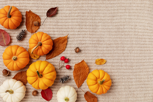 Happy Thanksgiving composition from autumn foliage, pumpkins and fall decorations on knitted woolen background top view. Cozy concept of harvest, autumn holidays and still life.