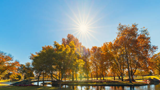 istock Rymill Park with bridge over the pond in Adelaide city 1697052346