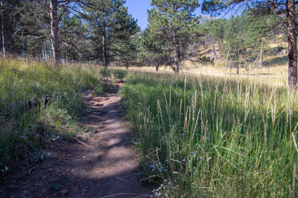 istock Boulder Colorado Hiking Trail 1697062620