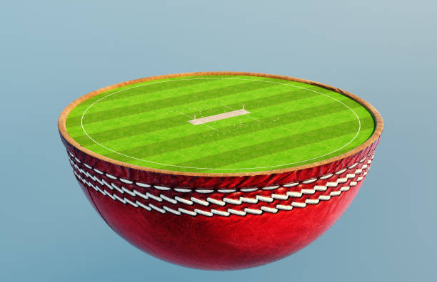 istock Cricket Half Ball Stadium Concept 1697073928