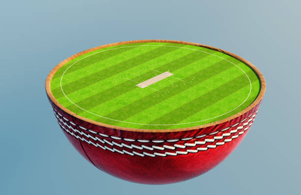 istock Cricket Half Ball Stadium Concept 1697073945