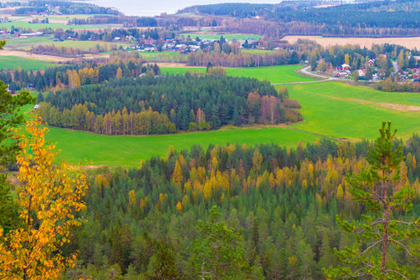 istock Bright autumn landscape over green fields 1697132300