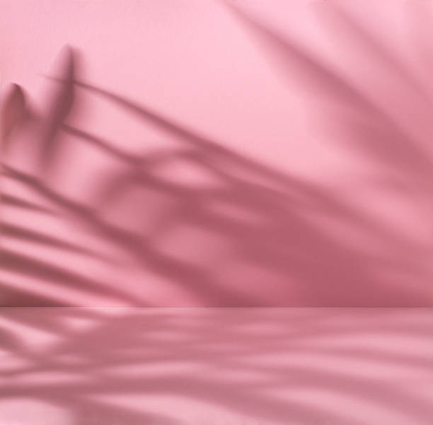 istock Pink pastel background with palm leaves shadow 1697135266