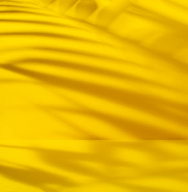 istock Yellow background with palm leaves shadow 1697135285