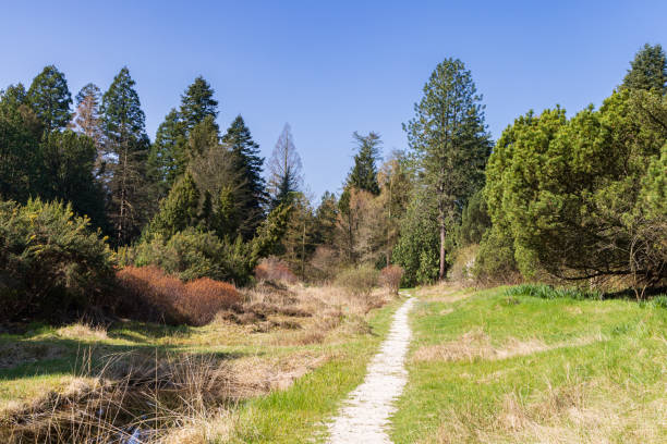istock Hortus Botanicus Haren The Netherlands 1697139756