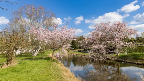 Photo of Hortus Botanicus Haren The Netherlands