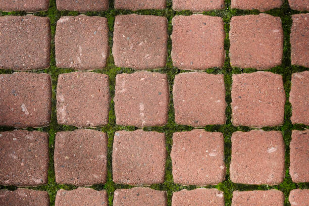 istock Green moss between gray square paving stones 1697140884
