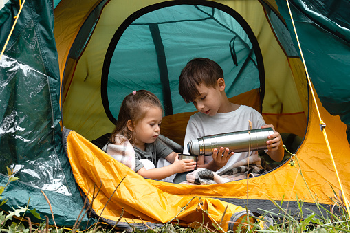 Little boy pours tea from thermos into his little sisters cup while sitting in a tent. Concept of camping or refugeeism