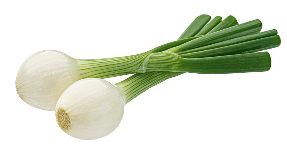 Green onion isolated on white background with clipping path, full depth of field