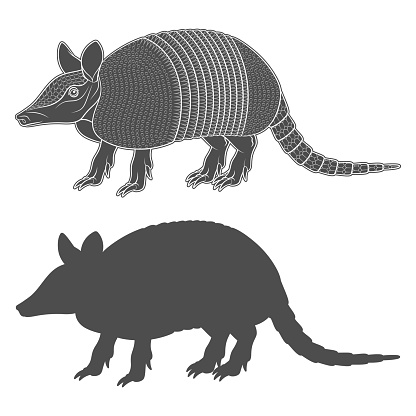 Set of black and white illustration with an armadillo. Isolated vector objects on white background.