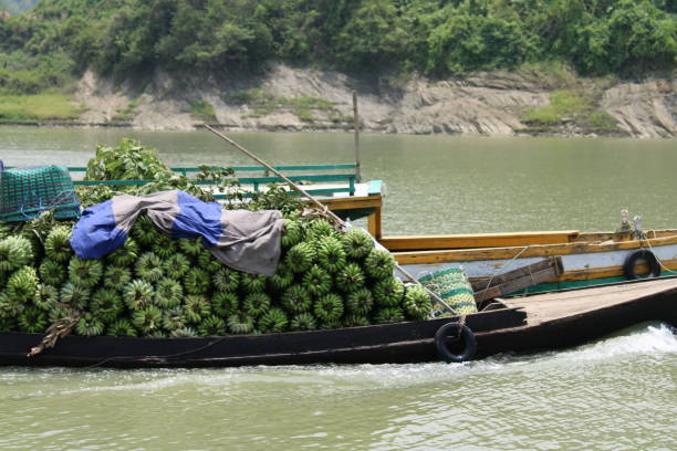 istock A boat crossing the river with bannana for selling 1697200580