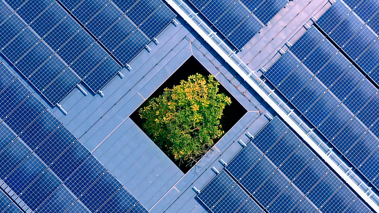 solar panels structure on the factory metal roof structure and the tree in the middle. renewable energy and environmental.