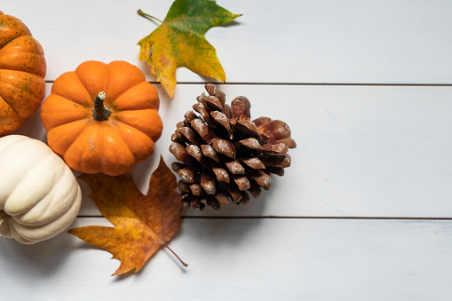 Rustic fall background of autumn leaves, pine cones and mini pumpkins with copy space a white rustic background.
