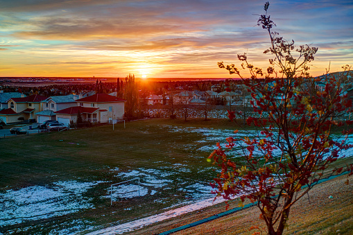 sunrise at the first snow in residential area of Calgary