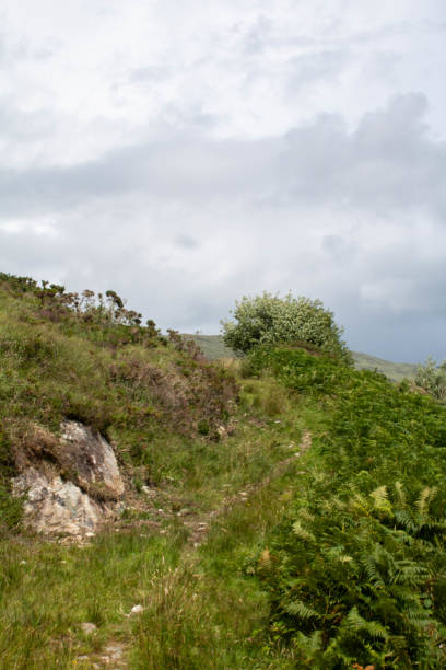 istock Crossing through rough West Cork landscape, summer Ireland 1697233409