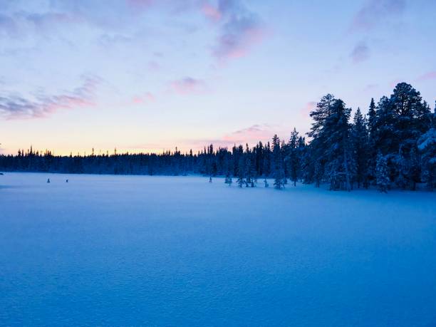 istock Winter Landscape Lapland 1697250850