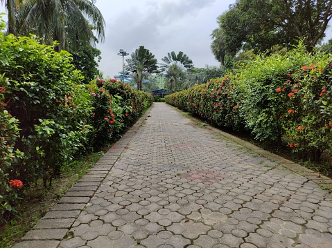 A very beautiful scenery of walk way, plants, flowers and cloudy sky.