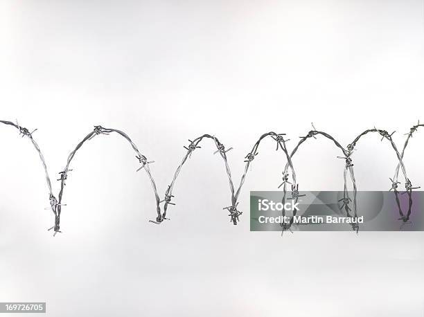 Bar Wireimage Barbed Wire Stock Photo - Download Image Now - Barbed Wire, Prison ...
