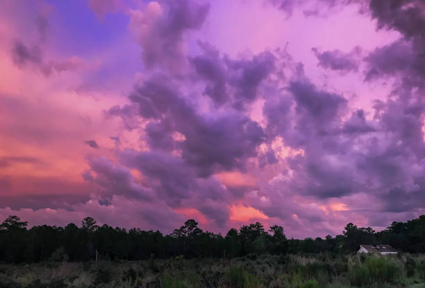 Beautiful Sunsets of Sandhill Ecosystem Forests of Florida Beautiful Post Storm Sunsets Sandhill Forests of Florida