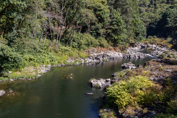 istock Overlooking the Nehalem River in Oregon 1697293131