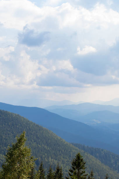 istock Mountain Forest, With Tall Trees and White Clouds, a Feeling of Blissful Happiness Permeates the Air 1697302873